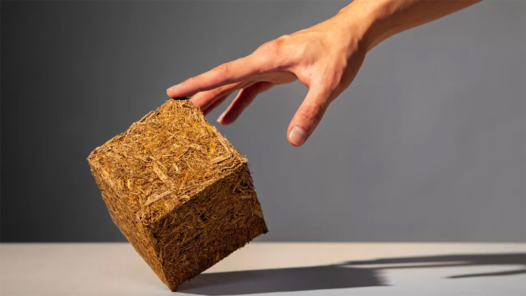 Vật liệu Sugarcrete là gì